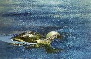 bruno liljefors simmande lom USA oil painting artist
